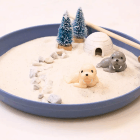 Mini Zen Gardens
